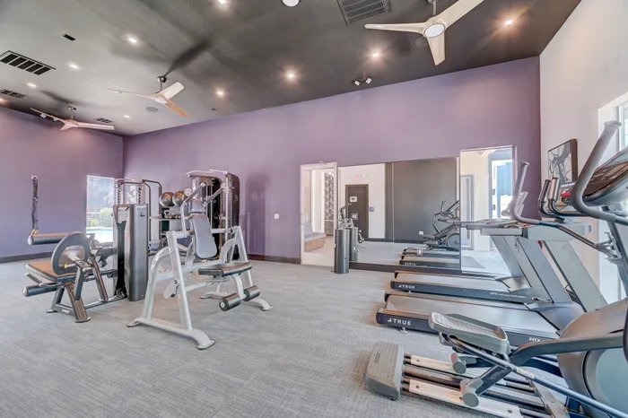 Modern fitness center with high-end cardio equipment, strength training machines, and sleek design.