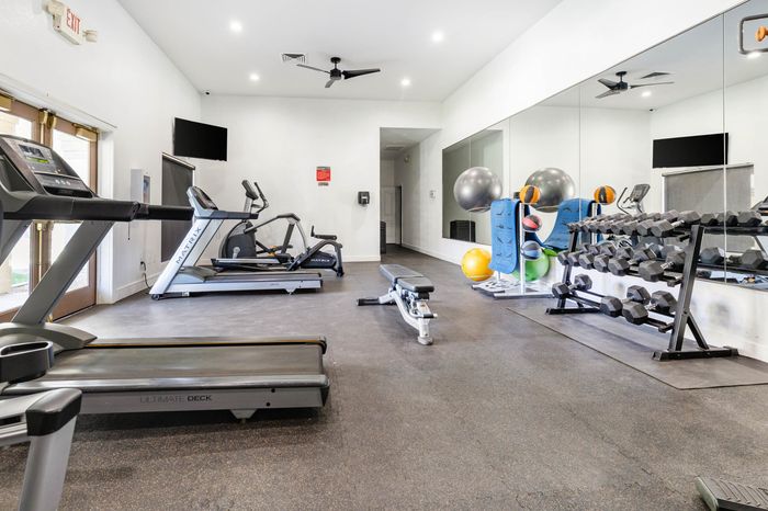Modern fitness center equipped with state-of-the-art gym machines, free weights, and exercise balls in a bright and spacious setting.