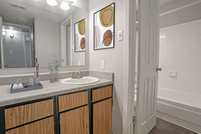 : Bathroom with wood cabinets and a countertop in a Dakota Apartments unit