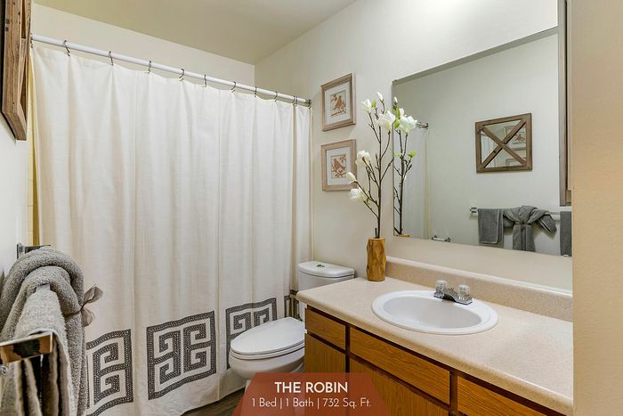 The Robin - Bathroom