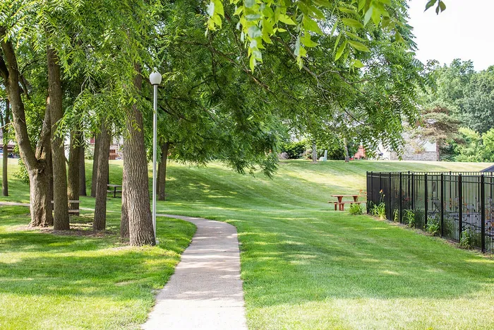 Tranquil pathway through lush green park with shaded trees and inviting picnic area.