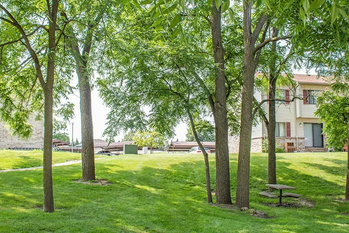 Charming residential area featuring lush green lawns, mature trees, and a welcoming house, perfect for relaxation and community living.