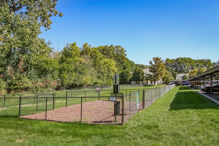 Charming fenced green space surrounded by serene trees, ideal for relaxation and pet-friendly activities.