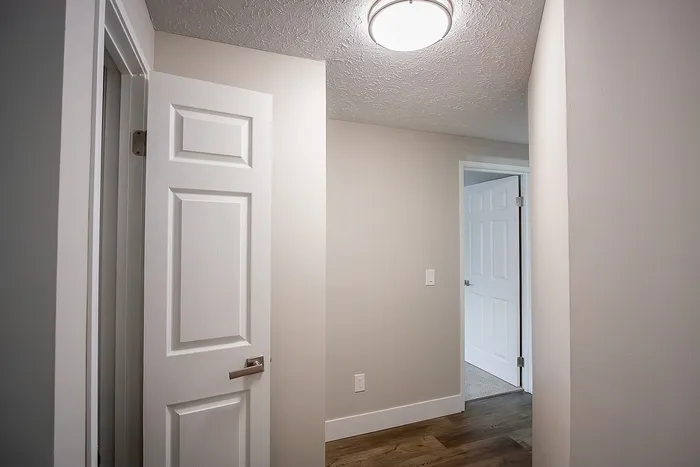 Modern apartment hallway featuring sleek white doors, elegant light fixture, and stylish wood flooring.