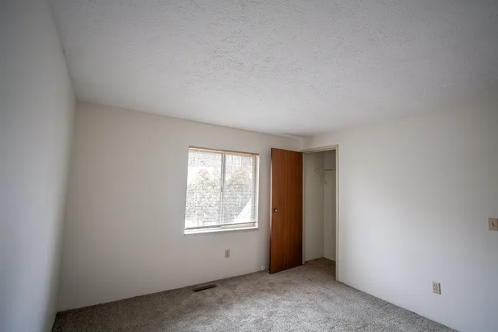 Bright and spacious bedroom with soft carpeting, ample natural light, and a cozy closet space perfect for storage.