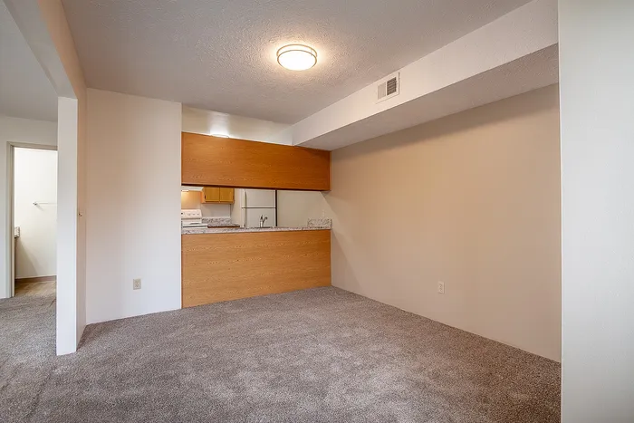 Inviting apartment with cozy carpeted living area, seamlessly connected to a modern kitchen with sleek countertops and ample cabinets.
