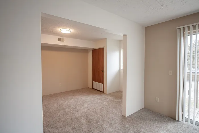 Cozy apartment interior with plush carpeting and natural light, featuring a versatile open space perfect for customization.