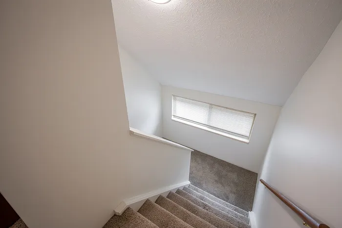Bright staircase with plush carpet and modern rail, leading to a sunlit landing with a large window for natural light.