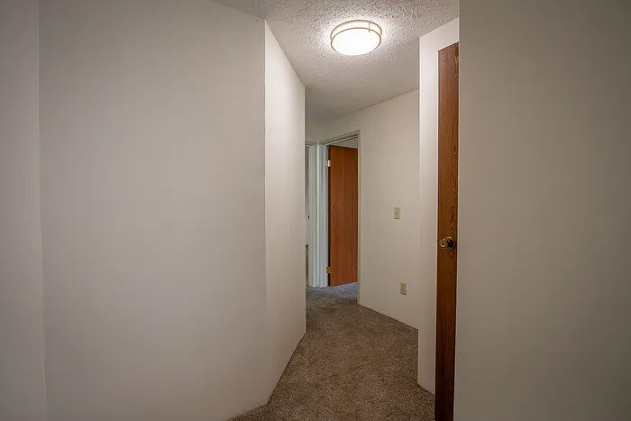 Bright and inviting hallway with clean white walls, soft carpet flooring, and modern light fixture, leading to open doorways.