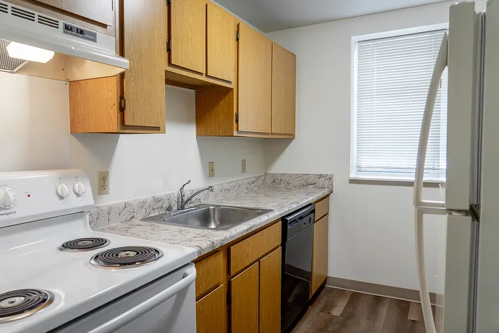 Bright, inviting kitchen with modern appliances, elegant wooden cabinetry, and stylish marble countertops.