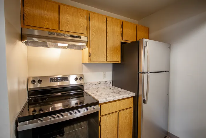 Modern kitchen with sleek stainless steel appliances, wooden cabinetry, and marble-inspired countertops.