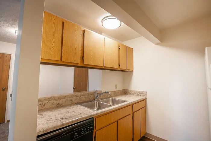 Modern kitchen with sleek countertops, dual sinks, and warm wooden cabinets, offering a cozy and functional cooking space.