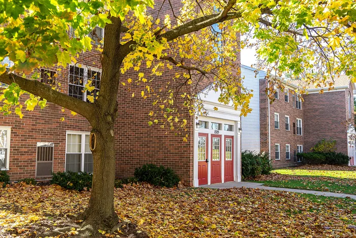 Charming brick apartment building with classic red doors and a picturesque tree adorned with vibrant autumn leaves.