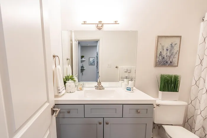 Bright and elegant bathroom featuring modern fixtures, sleek gray vanity, and tasteful decor with lush greenery.