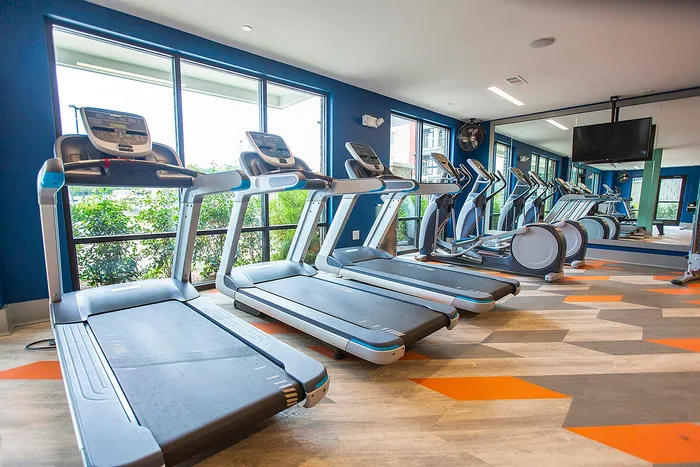 Modern gym with state-of-the-art treadmills and ellipticals, vibrant decor, and large windows offering natural light.