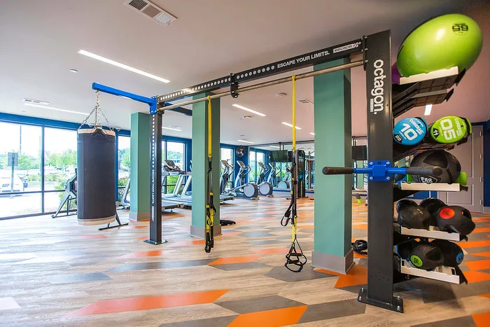 Modern fitness center featuring state-of-the-art equipment, vibrant flooring, and panoramic windows for an energized workout experience.