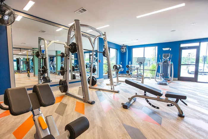 Modern fitness center with stylish gym equipment, including weight machines and cardio equipment, in a bright and spacious setting.