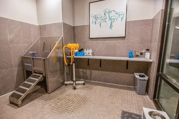Modern pet spa with sleek tile design, featuring a professional washing station, grooming supplies, and cheerful dog-themed wall art.