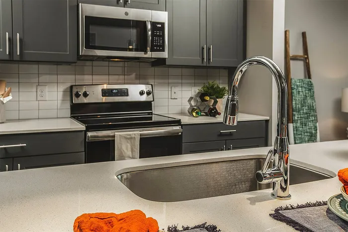 Modern kitchen with sleek stainless steel appliances and stylish dark cabinetry.
