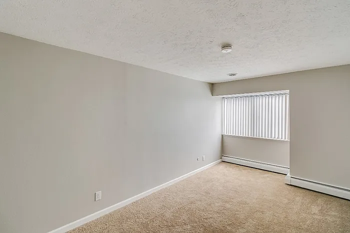 Bright and airy room with fresh paint and plush carpet, featuring large window for natural light.
