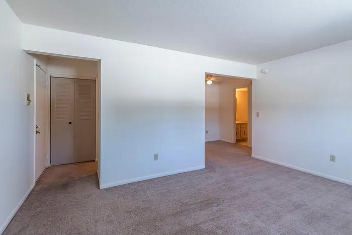 Bright and spacious living area with soft carpet flooring, white walls, and a doorway leading to a cozy hallway with a glimpse of a sunlit room beyond.