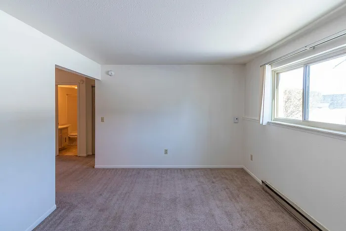 Bright and airy apartment corner with carpeted flooring, large window allowing natural light, and a doorway leading to a bathroom.