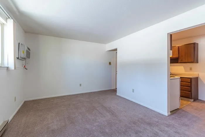 Bright and inviting living area with plush carpeting and a cozy kitchen nook, perfect for comfortable modern living.