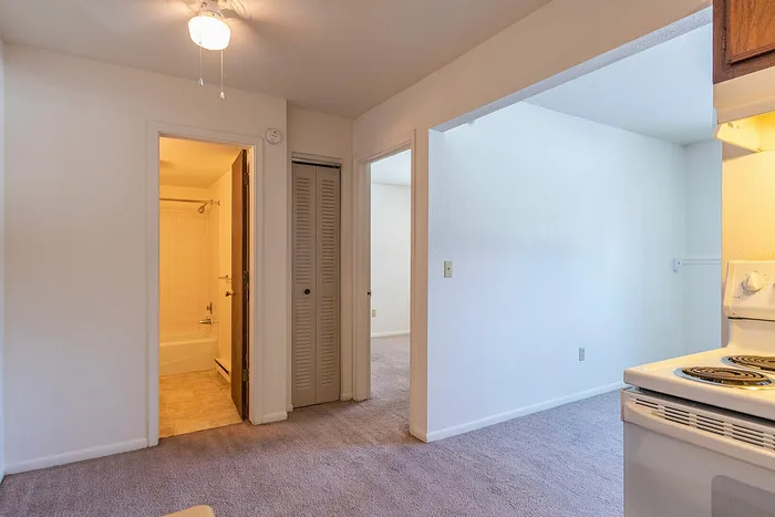 Inviting apartment interior with cozy carpeting, bright bathroom, and a functional kitchen area, ideal for comfortable living.