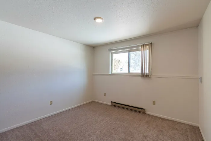 Bright and airy empty room with neutral carpeting, highlighting a large window for natural light.