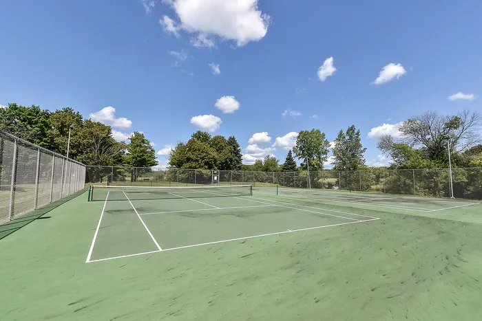 Inviting outdoor tennis court surrounded by lush greenery under a clear blue sky, perfect for active living.