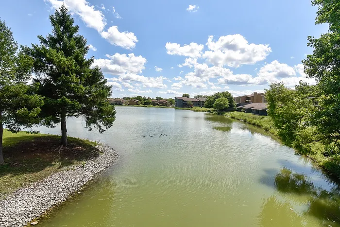 Serene lakeside view with lush greenery and modern residential buildings under a bright blue sky.