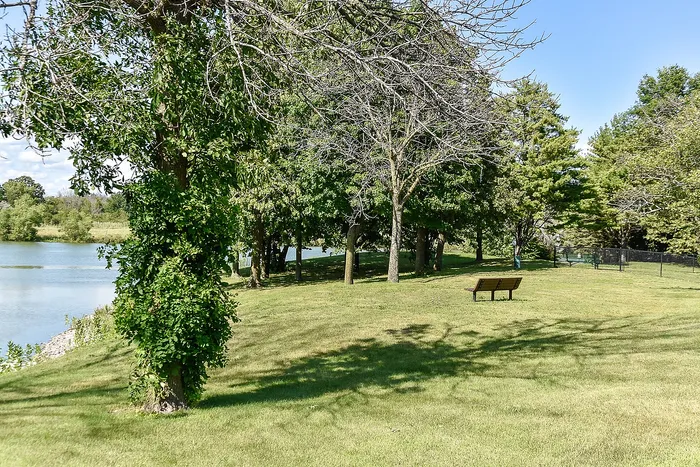 Scenic park view with lush green grass, trees, and a serene lakeside bench, ideal for peaceful relaxation.