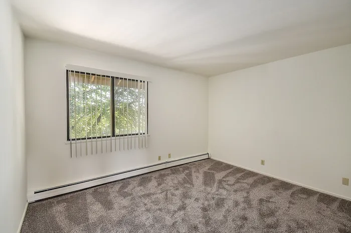 Bright and airy bedroom with plush carpeting, large window, and abundant natural light, offering a cozy and inviting ambiance.