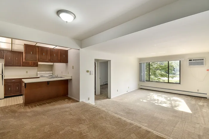 Inviting apartment with open-concept living space, featuring a cozy kitchen and a sunlit living room with large windows and leafy views.
