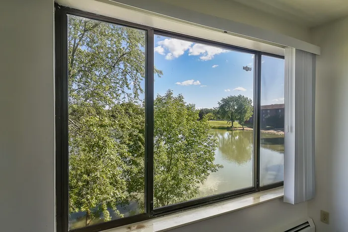 Bright window view showcasing a serene lake and vibrant green trees under a clear blue sky, creating a tranquil ambiance.