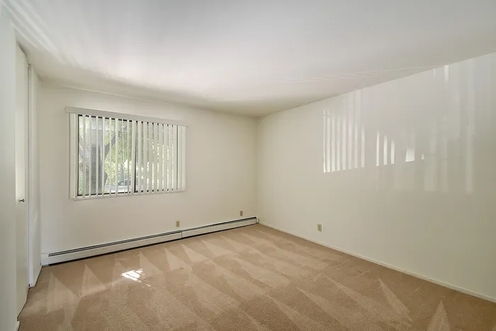 Bright and spacious room with plush carpeting, large window with blinds filtering natural light, perfect for a cozy bedroom or serene office space.