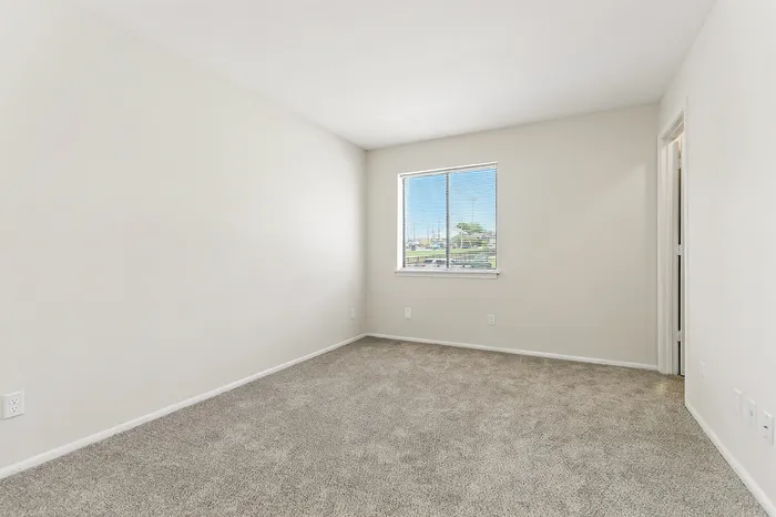Bright and inviting room featuring lush carpet and a sunlit window, perfect for a cozy bedroom or home office.