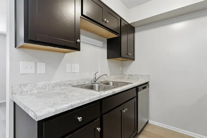 Modern kitchen with sleek dark cabinets, elegant marble countertop, and stainless steel sink.