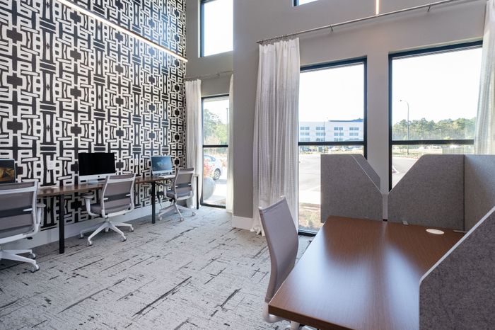 Modern shared workspace with stylish geometric accent wall, large windows, and individual computer desks, perfect for productivity and collaboration.