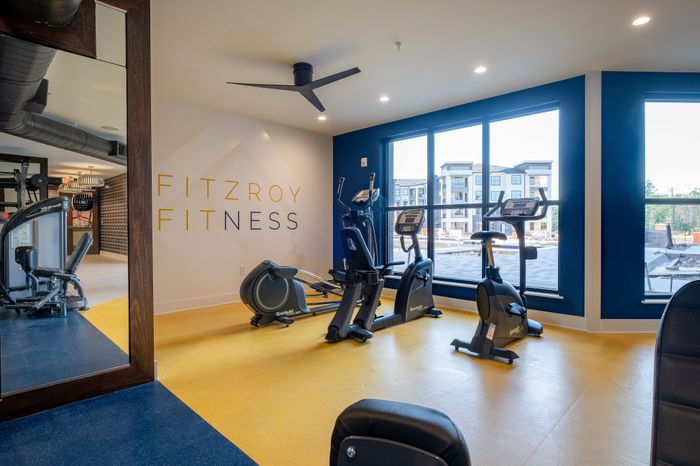 Bright and modern gym featuring state-of-the-art equipment and vibrant decor at Fitzroy Fitness with scenic outdoor views.