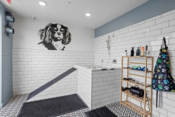 Modern pet grooming station with stylish dog mural, white tiled walls, practical ramp, and organized shelves loaded with grooming supplies.