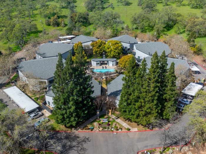 Birds Eye View