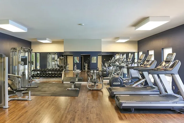 Modern fitness center with state-of-the-art treadmills, weight stations, and bright spacious interior.