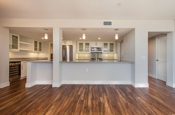 Contemporary kitchen with sleek cabinetry, stainless steel appliances, and elegant hardwood flooring.