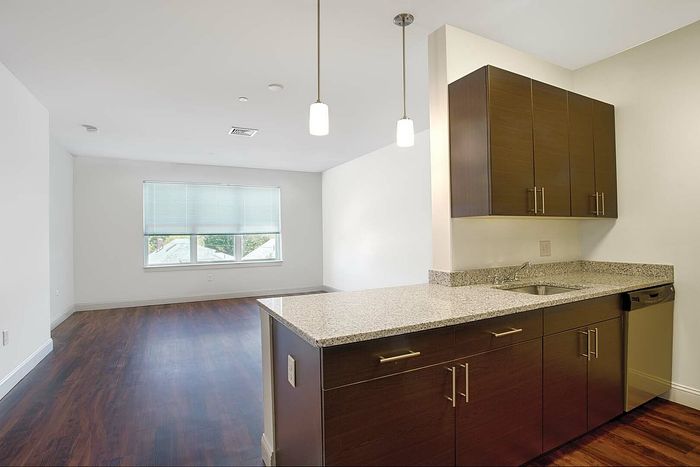 Contemporary open-concept living room and kitchen with sleek cabinetry, granite countertops, and warm wood flooring.