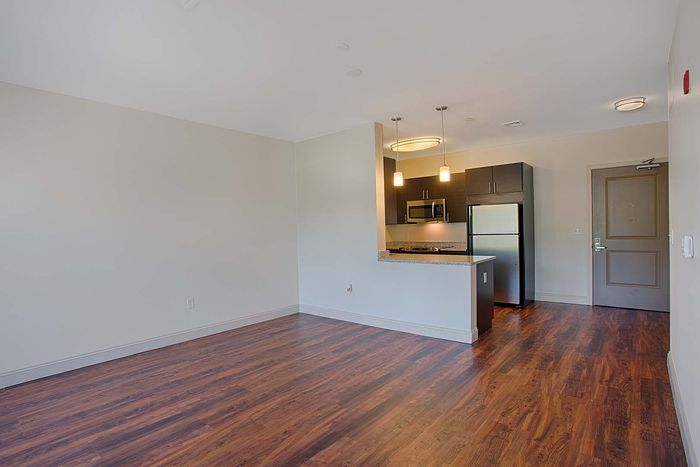 Modern open-concept kitchen and living area with sleek wooden floors, stainless steel appliances, and elegant pendant lighting.