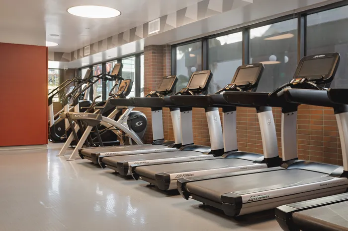 Modern gym with multiple treadmills and cardio machines, featuring sleek design and bright natural lighting.