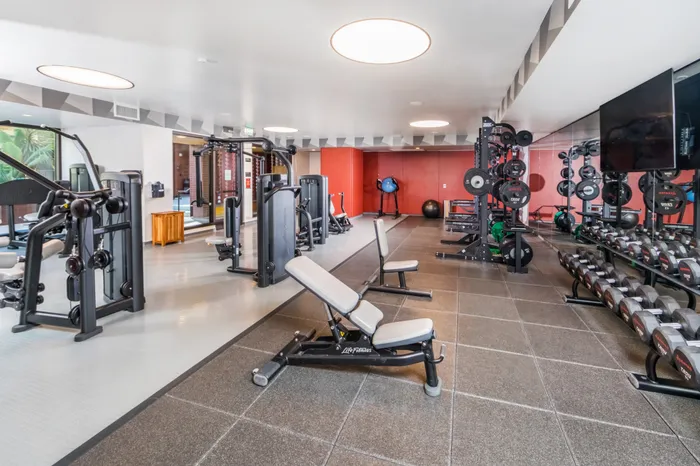 Modern fitness gym with state-of-the-art equipment, featuring free weights, weight machines, and bright spacious interiors.
