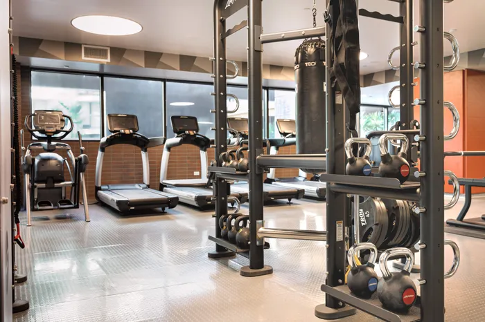 Modern and well-equipped apartment gym featuring treadmills, a weight rack, and a large punching bag in a stylish setting.