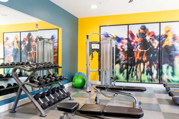 Vibrant gym interior with modern equipment, dumbbells, and inspiring horse racing mural on yellow and blue walls.